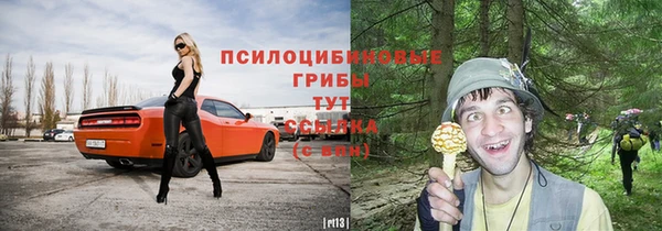 Альфа ПВП Остров