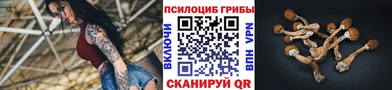 Галлюциногенные грибы мицелий  blacksprut как зайти  Котово 